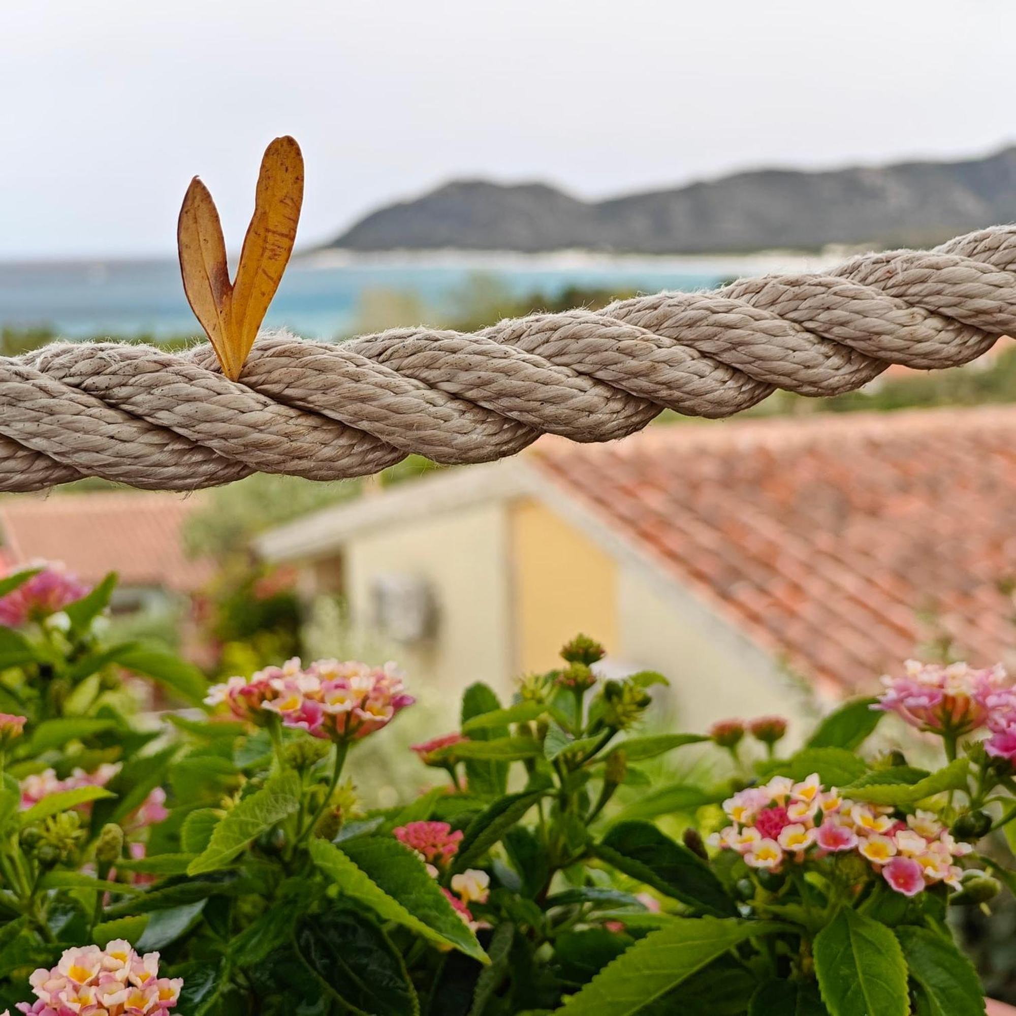 Villa Grazia Santa Lucia  Eksteriør billede
